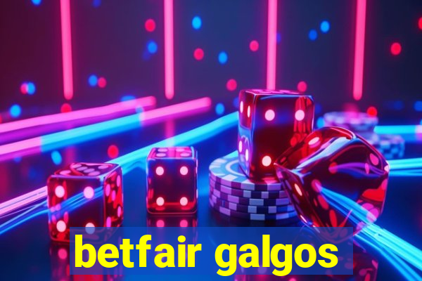 betfair galgos